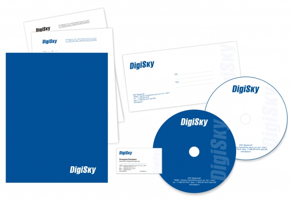 Фирменный стиль компании DigiSky